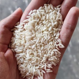 برنج طارم سبز کوفا